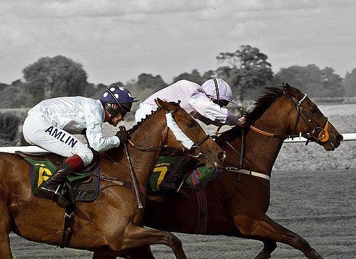 Bangor on Dee racing