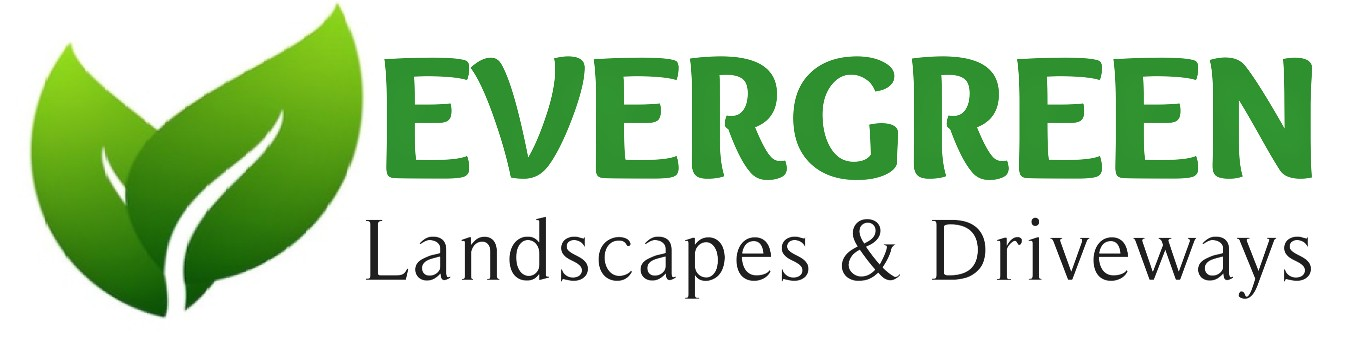 example actual logos for a local business