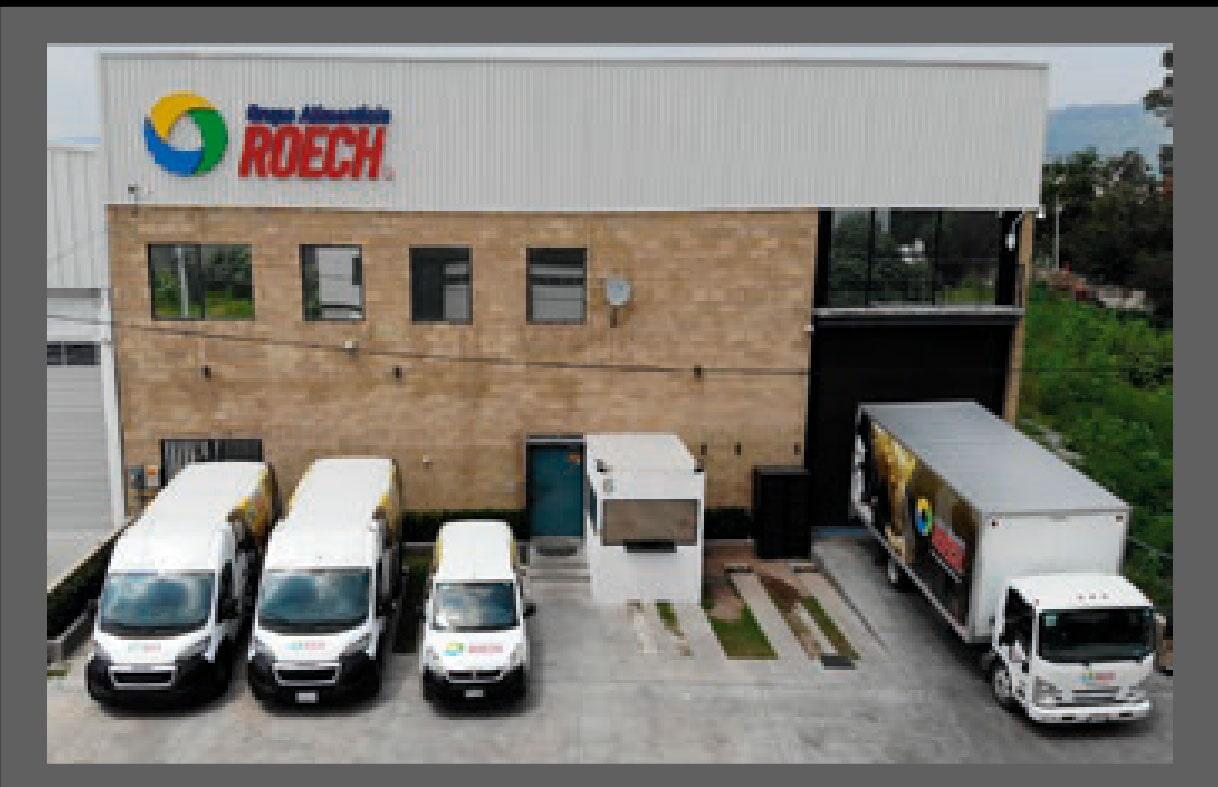 GRUPO ALIMENTICIO ROECH 