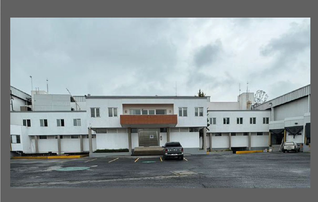 GRUPO ALIMENTICIO ROECH 