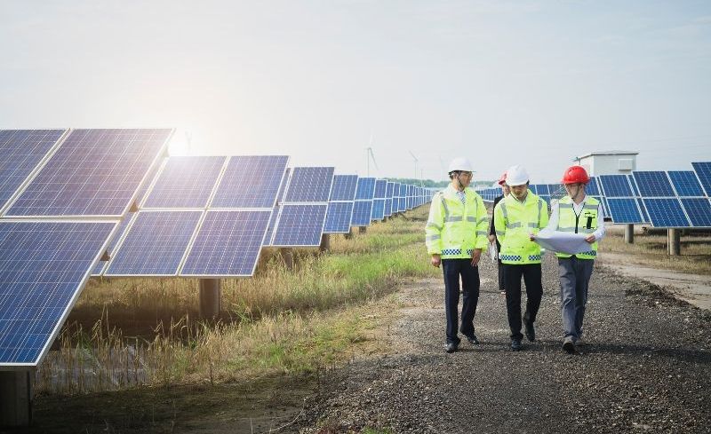 A group of engineers are walking through a field of solar panels.