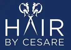 Hair By Cesare, Inc.