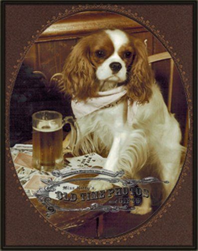 a dog is sitting at a table with a glass of beer