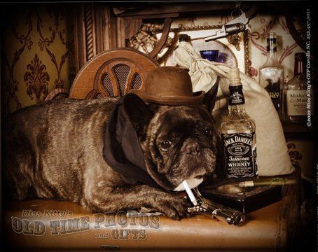 Old Time Photo of a dog wearing a hat on a bar