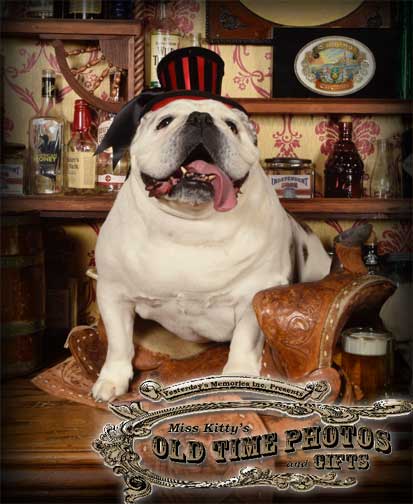 a dog wearing a top hat is sitting on a saddle