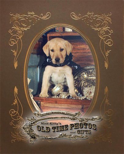 a picture of a puppy with the words old time photos and gifts below it