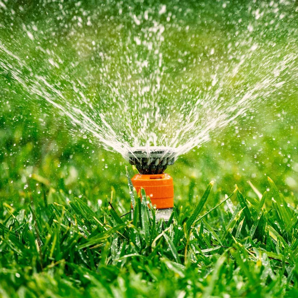 Open Sprinkler — San Bernardino, CA — S D & Sons Landscaping