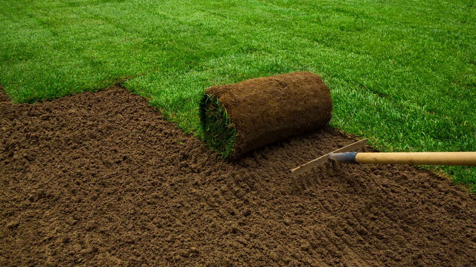 Installing Sod — San Bernardino, CA — S D & Sons Landscaping