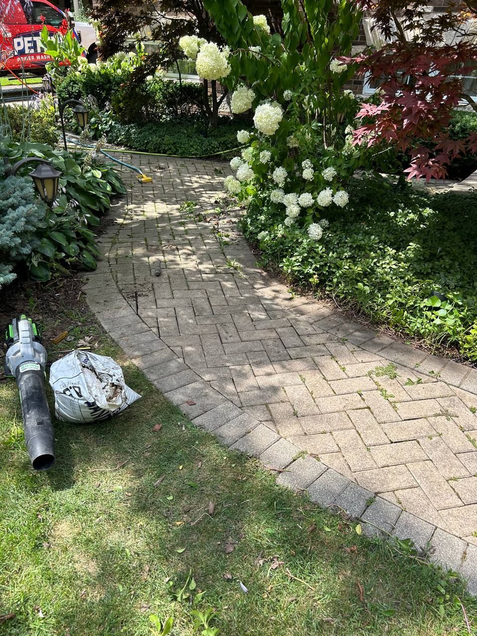 Before picture of a paver walkway in Lake Zurich that is in need of paver cleaning and levelling. 