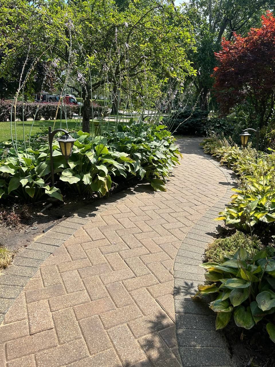 After picture of the same paver walkway, now cleaned and levelled. 
