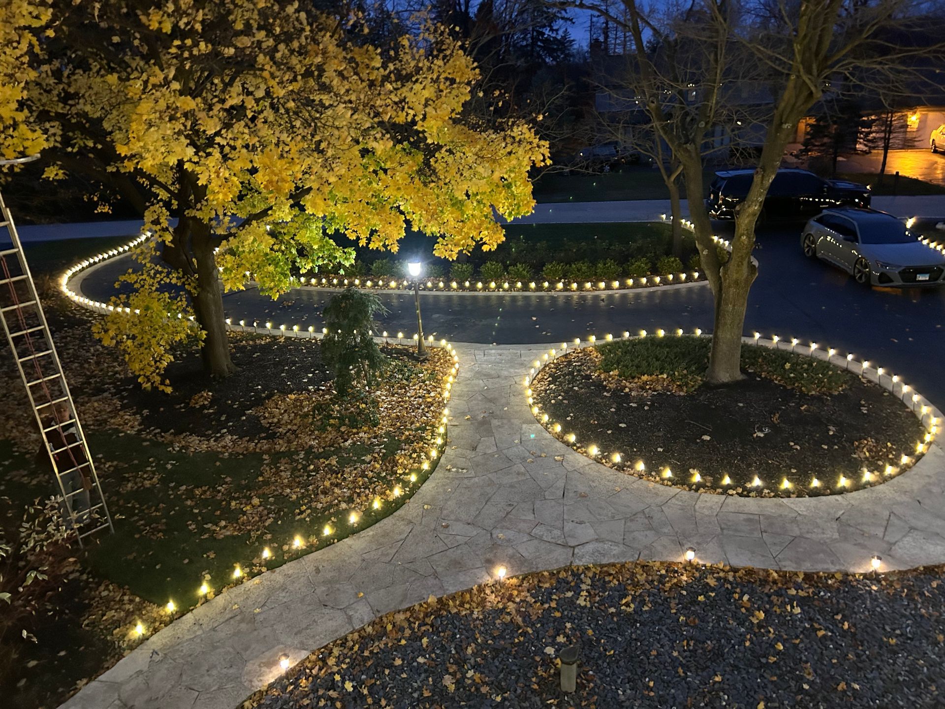 Image of seasonal lighting installed along side paver driveway.