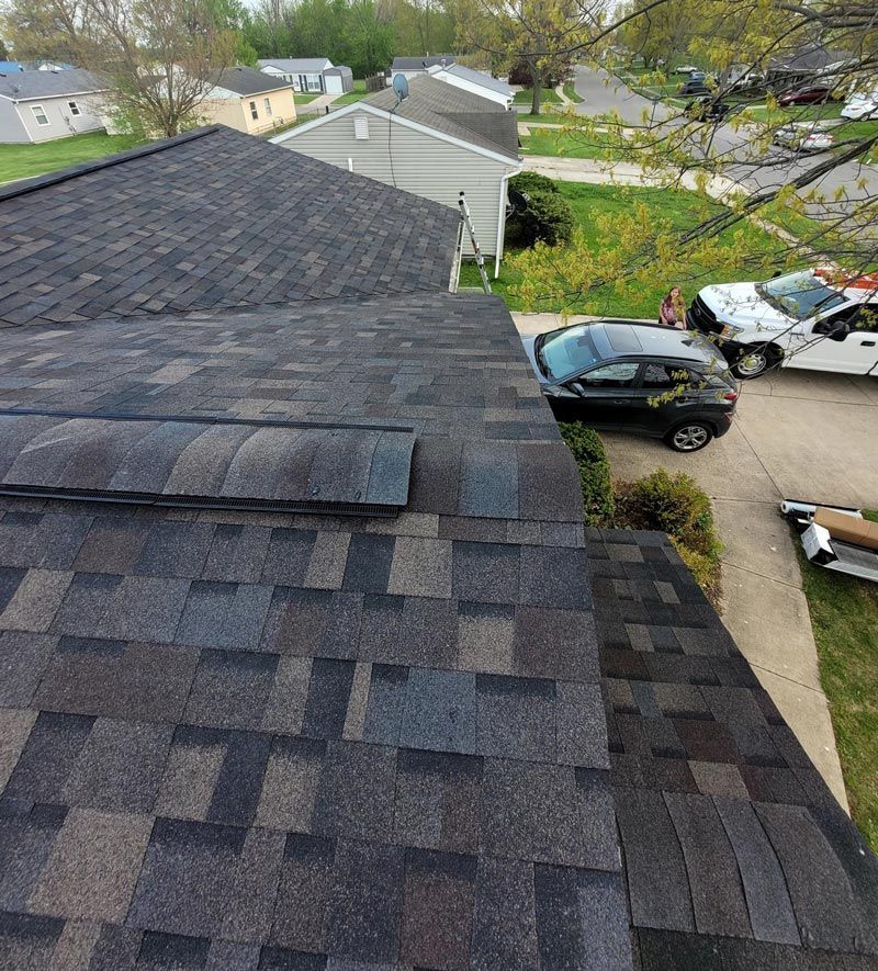 A beautiful black sable roof