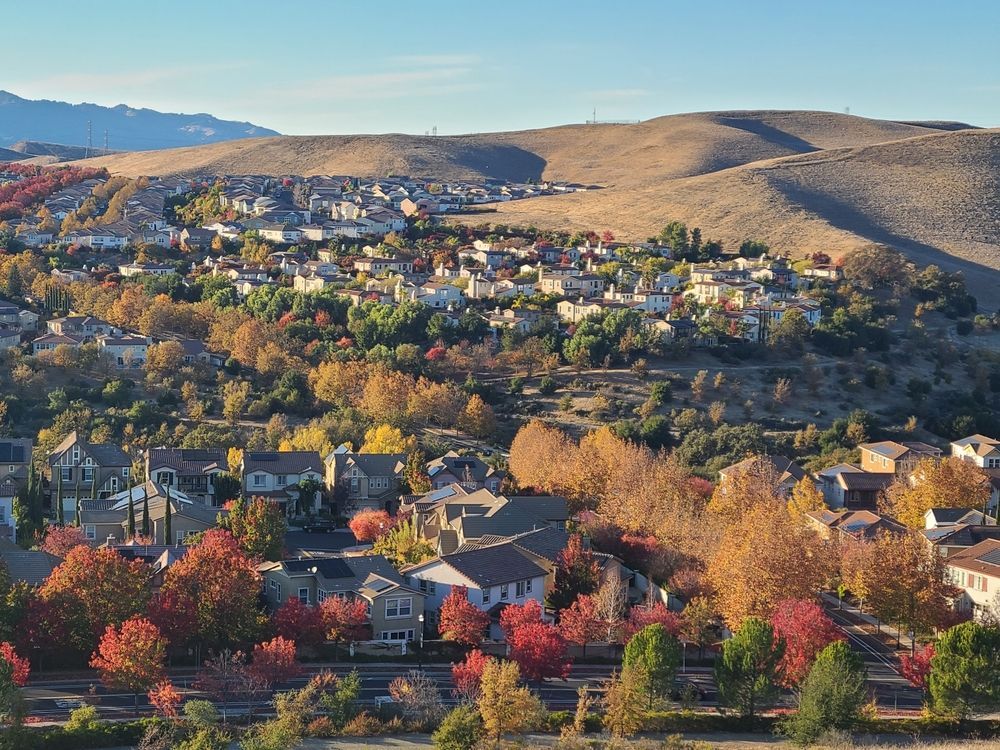 Houses nestled amidst trees with fall foliage against a backdrop of rolling hills.