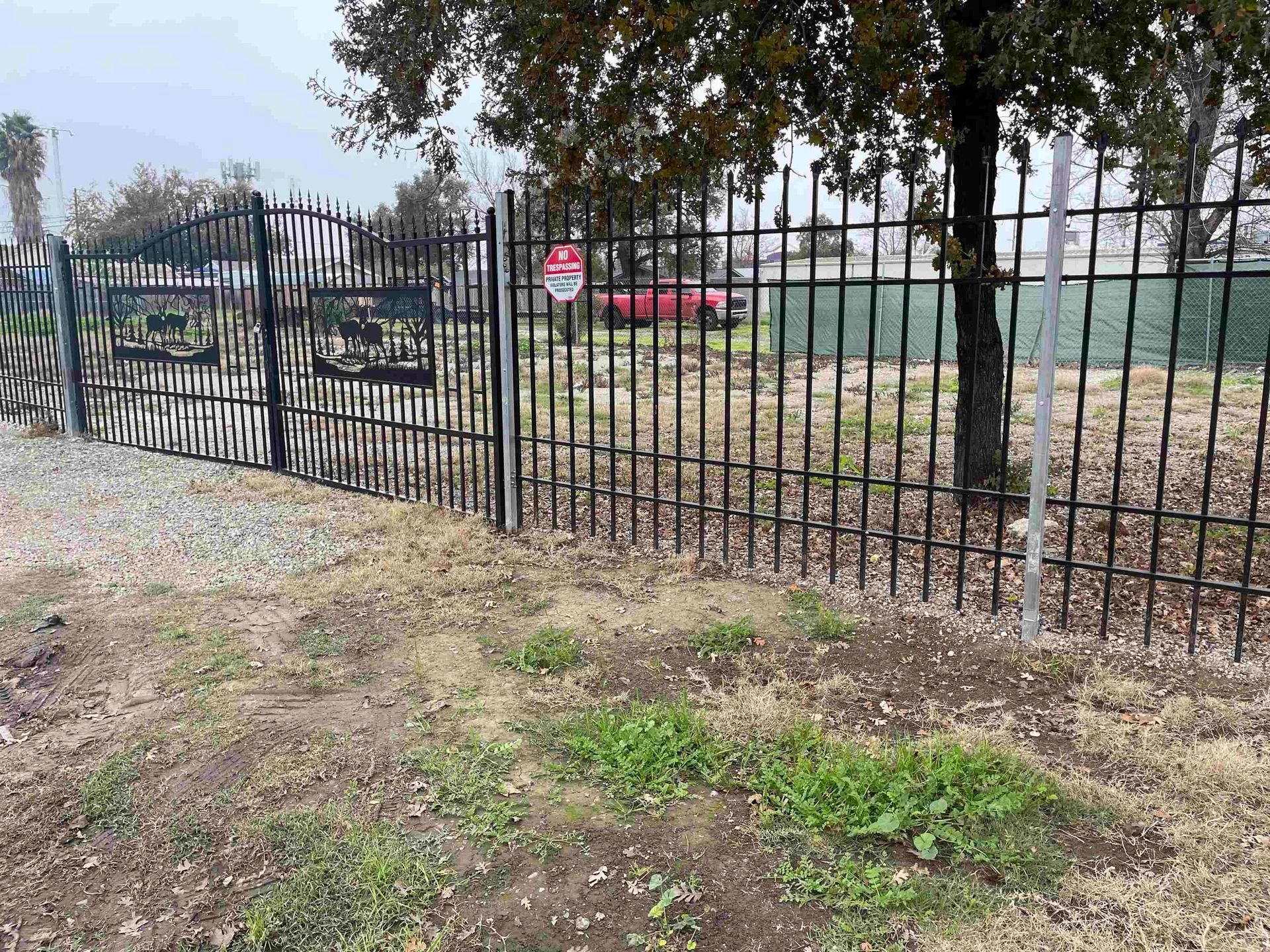 Black metal fence with a gate, guarding an empty lot with grass and a tree. A red vehicle is visible behind the fence.