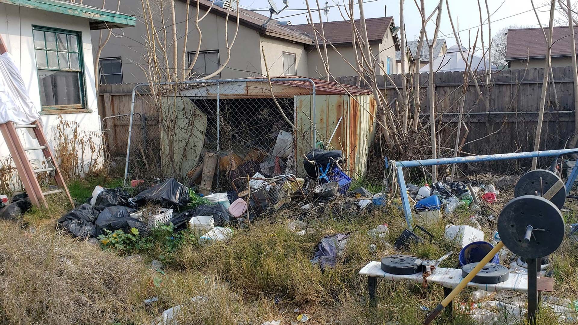Yard Waste Removal in Bakersfield