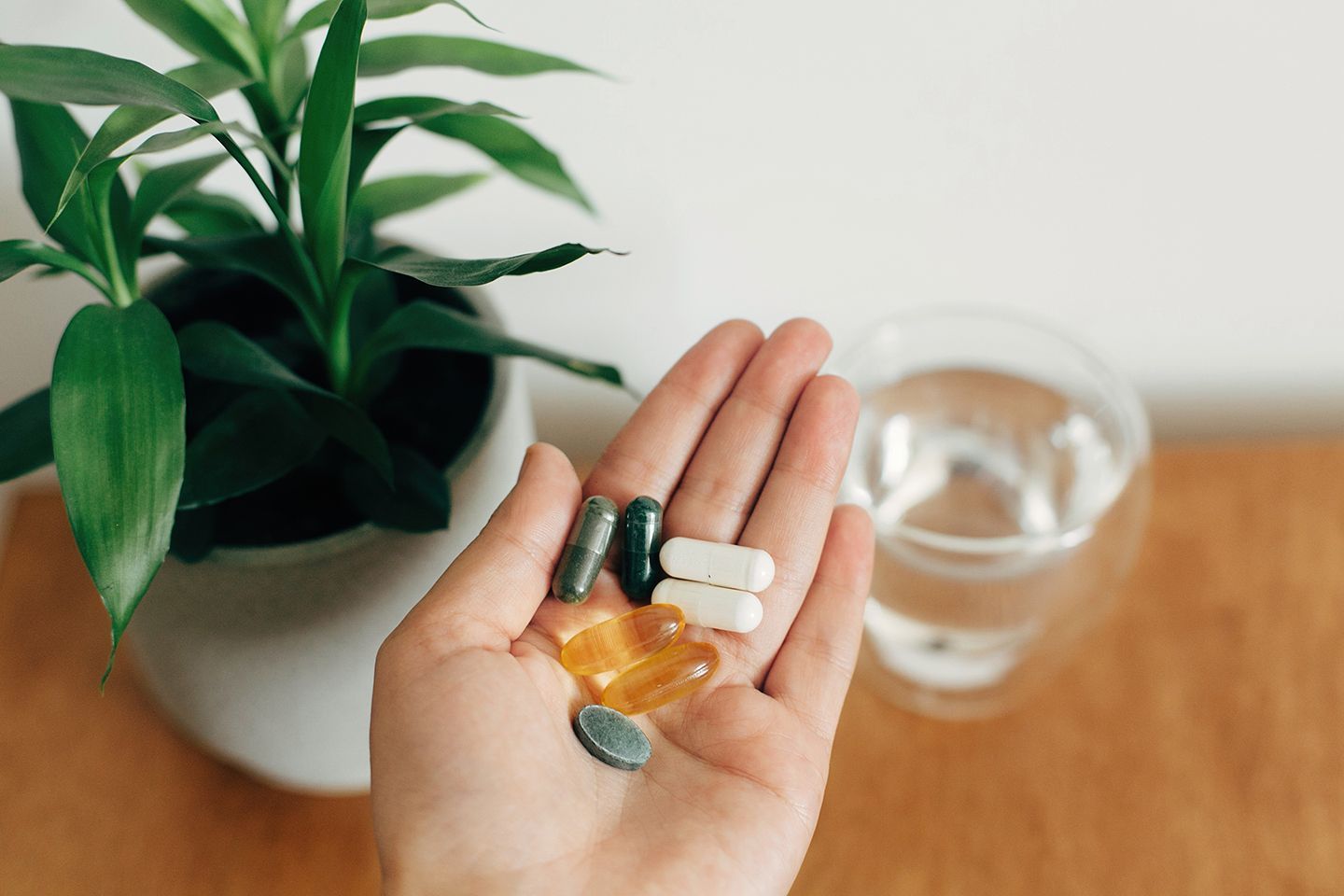 Hand holding assorted pills beside a potted plant and a glass of water