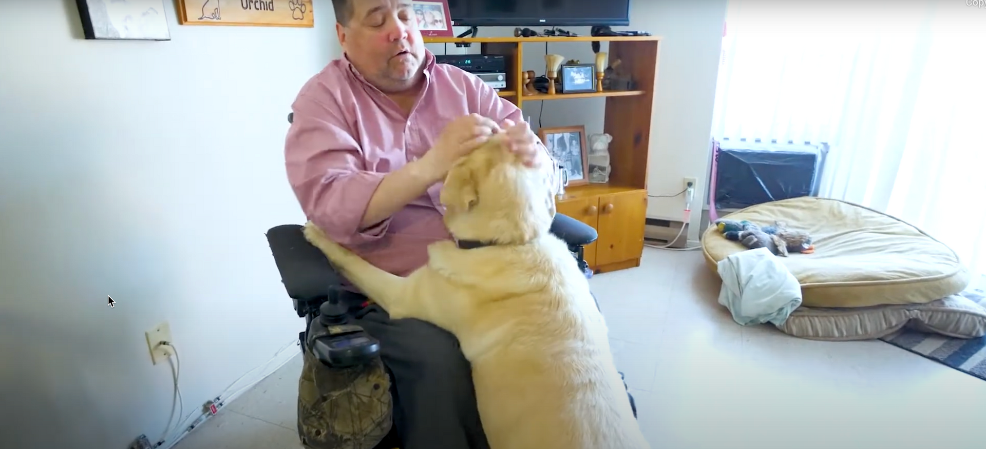 A man in a wheelchair is petting a dog in a living room.