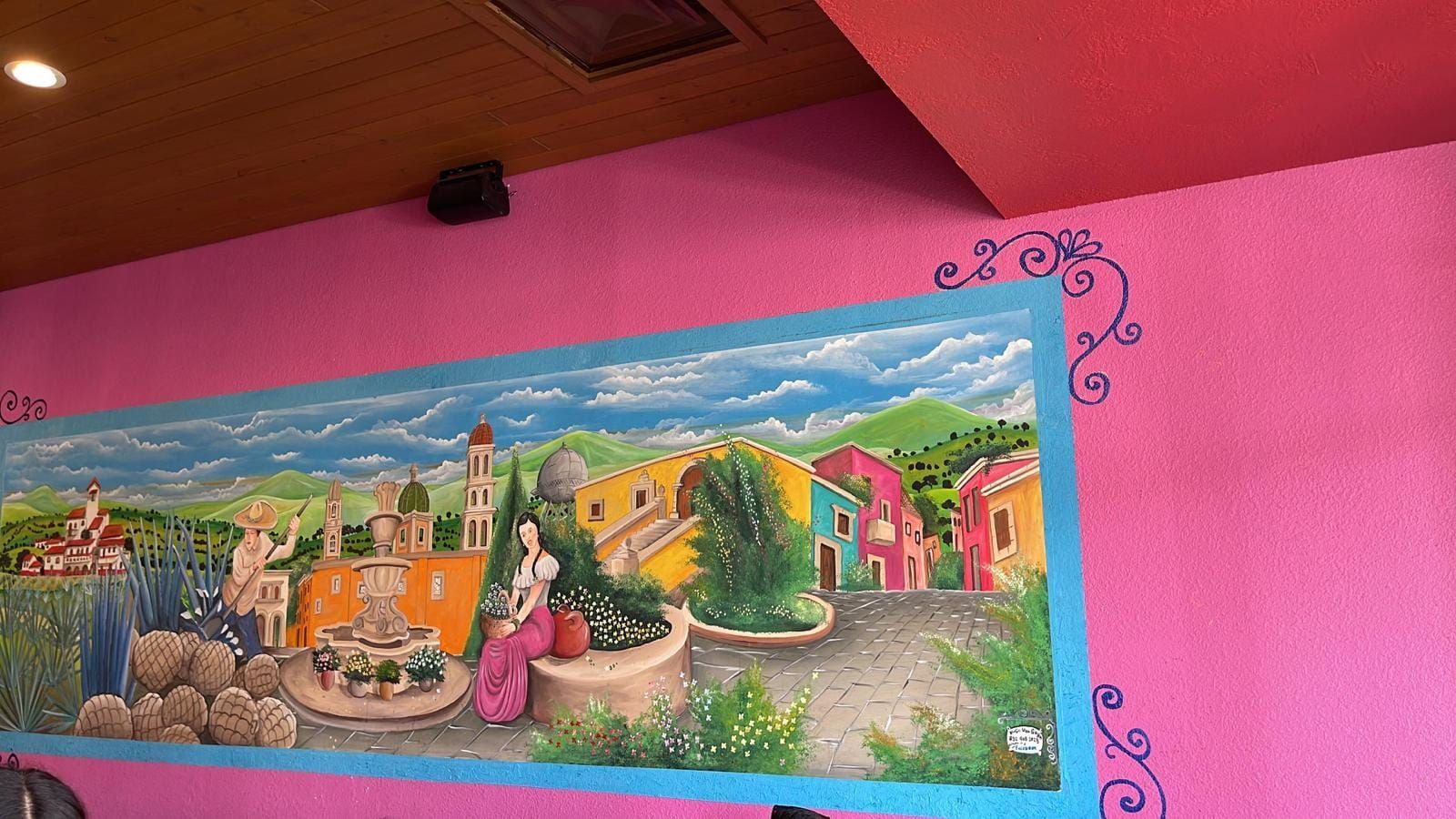 PRO RESTAURANT PAINTER EXPERT in Houston Texas,  PRO RESTAURANT PAINTER EXPERT in San Antonio 