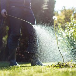 Spraying Weeds in the Garden — Stephenville, TX — Lovell Lawn & Landscape, Inc.