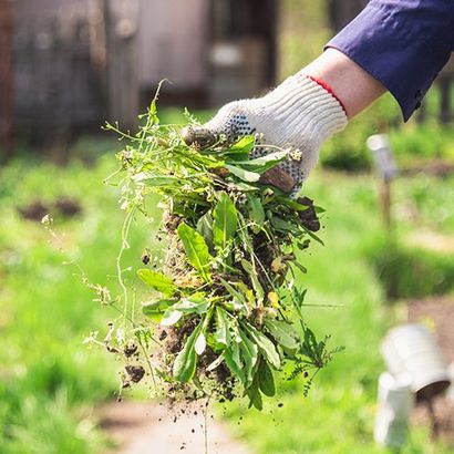 Flower Bed Cleaning — Stephenville, TX — Lovell Lawn & Landscape, Inc.