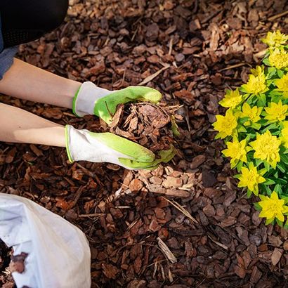 Mulch Installation — Stephenville, TX — Lovell Lawn & Landscape, Inc.