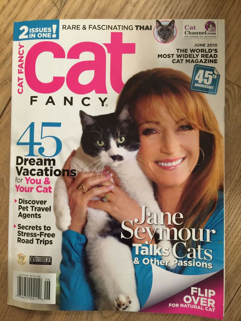 cat fancy magazine featuring Captain Kitt's Cat Boarding 