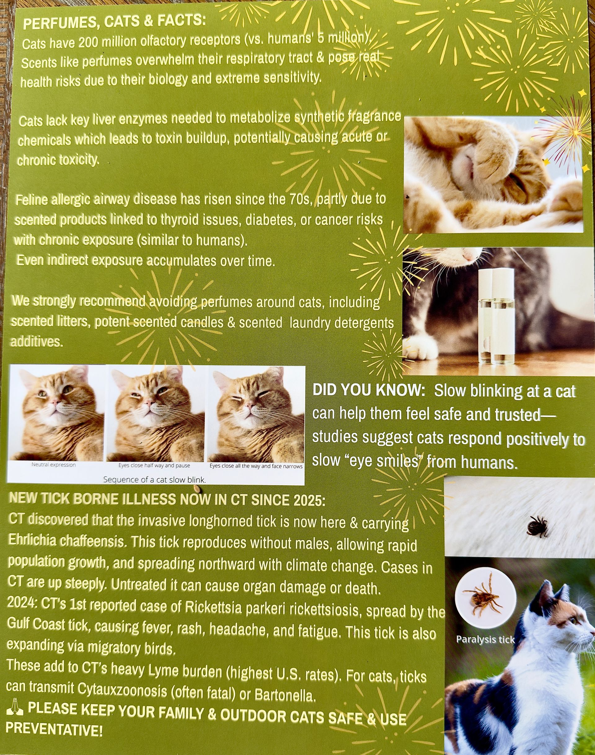 spring summer 2026 news letter page 2