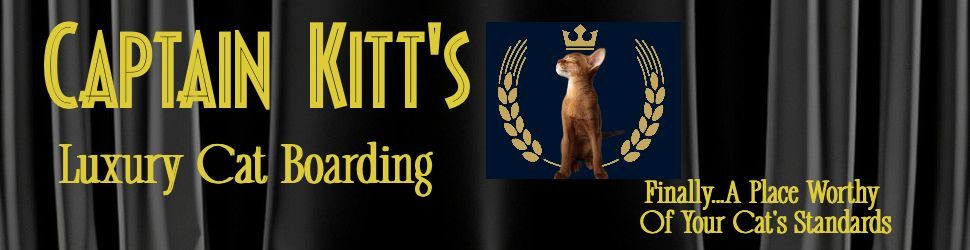 name of business and logo