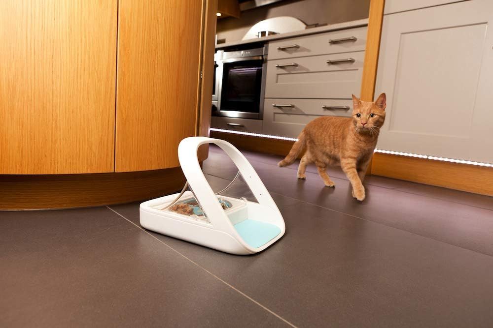 sure pet cat automated feeder