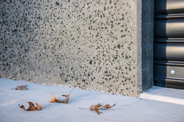 Close-up of a gray concrete wall and snow-covered sidewalk with dried leaves. A black shutter is partially visible to the right.