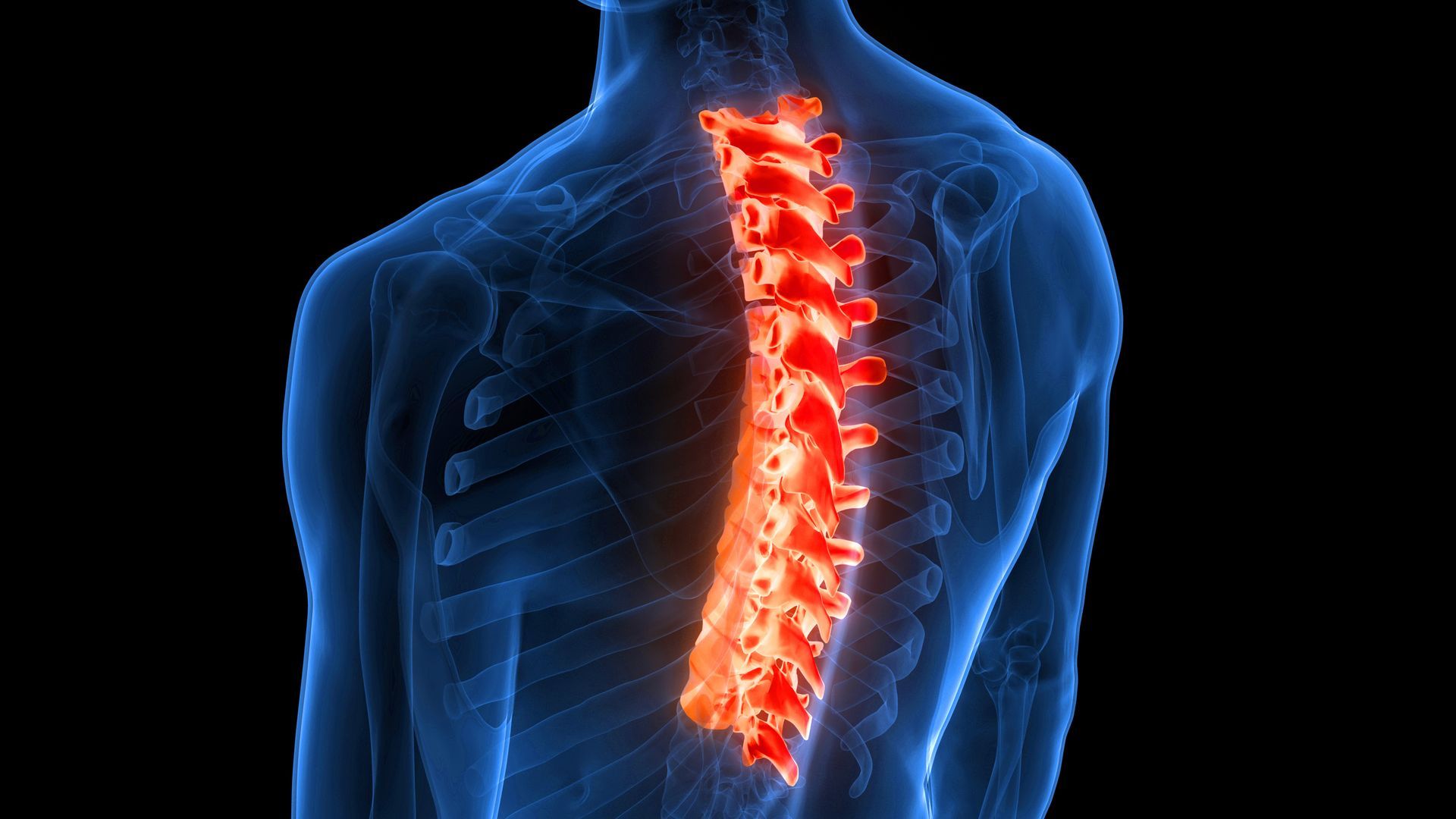 Back Pain Physical Therapy Treatment in Philadelphia, PA