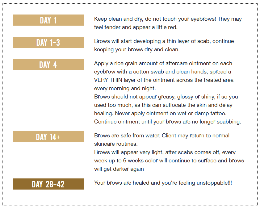 Eyebrow aftercare instructions: Daily steps, including ointment application, until healed in 4-6 weeks.