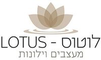 לוטוס - lotus מעצבים וילונות