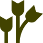 Green stylized depiction of three wheat stalks.