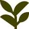 Olive-green stylized plant with leaves and stem.