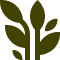 Olive-green stylized plant with leaves.