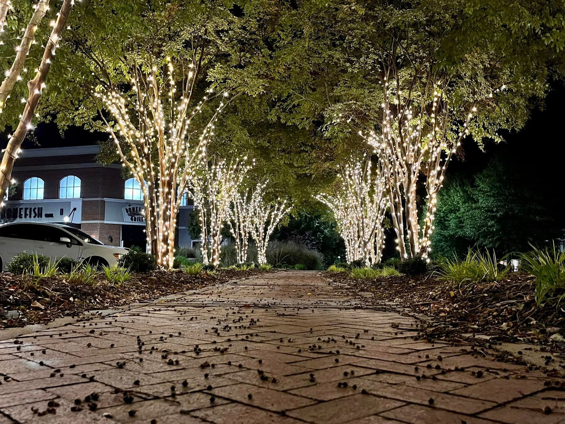 Noel Lighting LLC Electrical and Permanent Lighting Little Rock AR