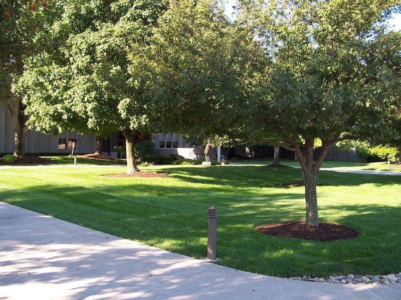 A Commercial Lawn With Big Trees — Coal Valley, IL — Kymbyl Komplete Kare , INC.