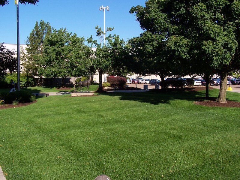 A Clean And Green Lawn — Coal Valley, IL — Kymbyl Komplete Kare , INC.