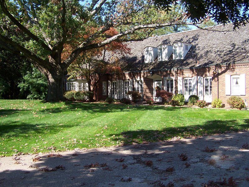 A Yard Full Of Leaves On The Ground — Coal Valley, IL — Kymbyl Komplete Kare , INC.