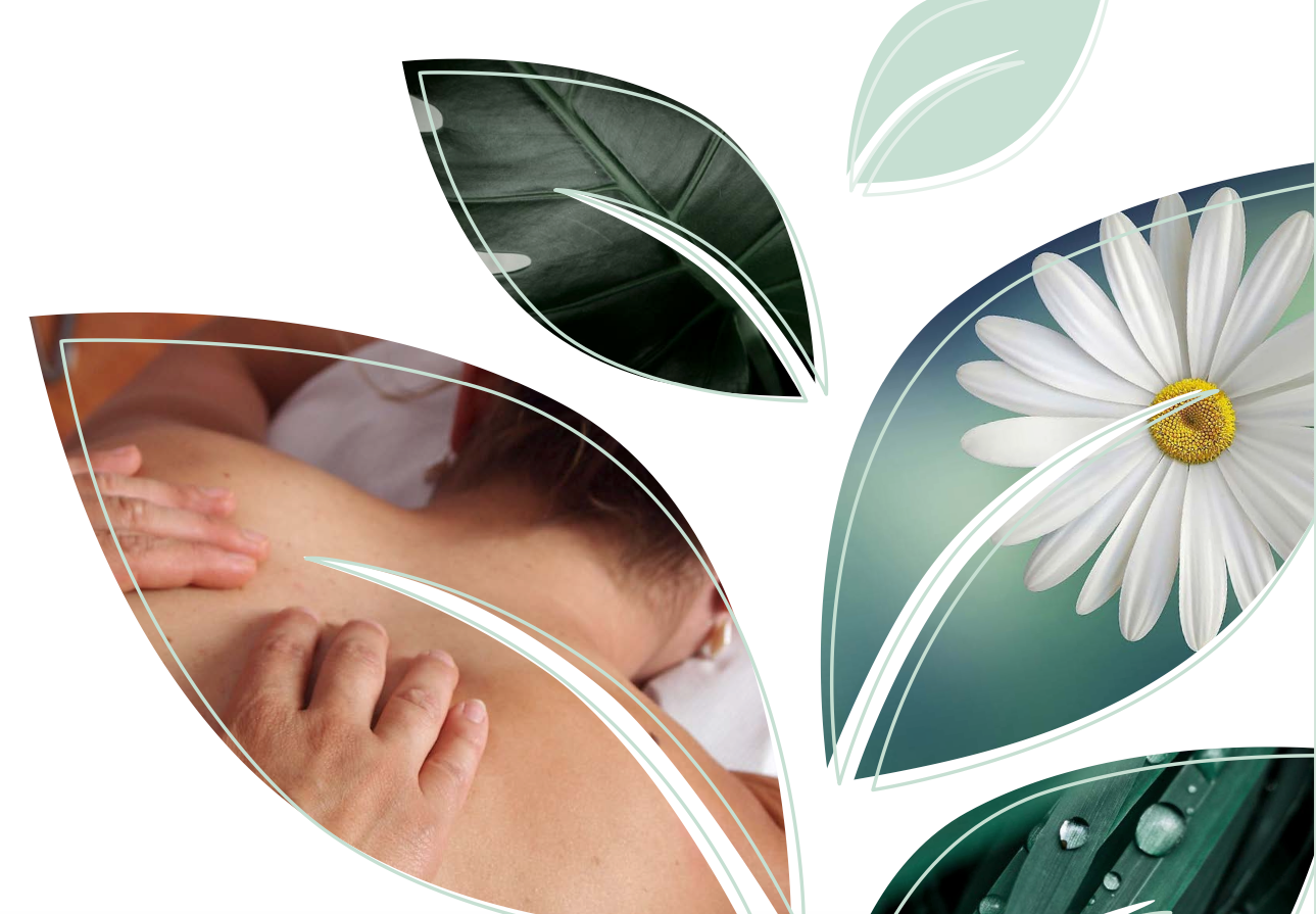 Grafik Massage Blume