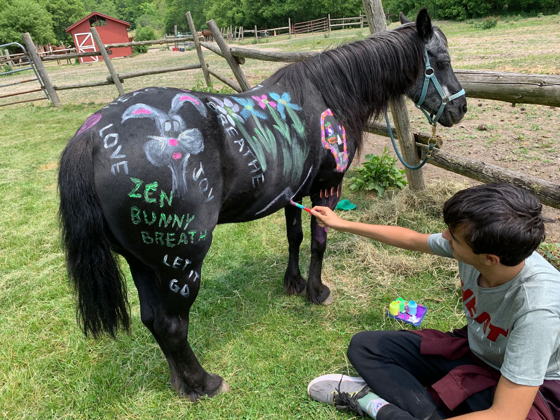 A young male teenager painting a horse who appears to be very calm and enjoying it