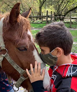 young boy wearing a mask and showing affection to a horse by nuzzling with him