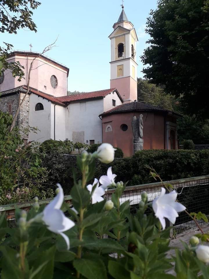 Chiesa con un alto campanile e fiori bianchi in primo piano; cespugli e alberi verdi circondano l'edificio.