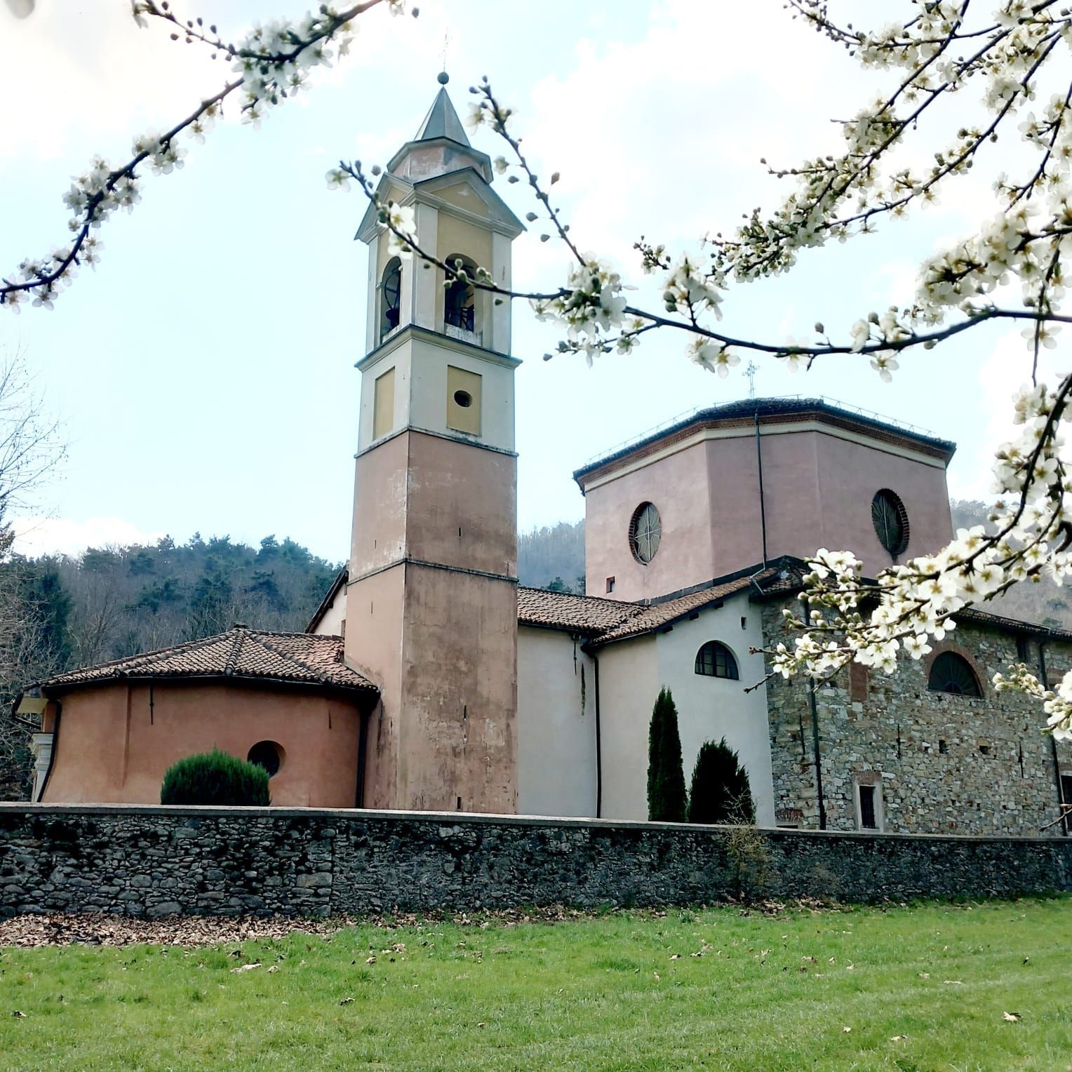 Edificio religioso con campanile, circondato da erba verde e rami fioriti.