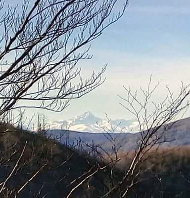 I rami spogli degli alberi incorniciano una lontana catena montuosa innevata sotto un cielo azzurro.