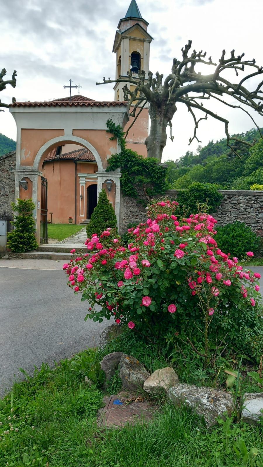 Chiesa rosa con campanile dietro rose rosa e un muro di pietra.