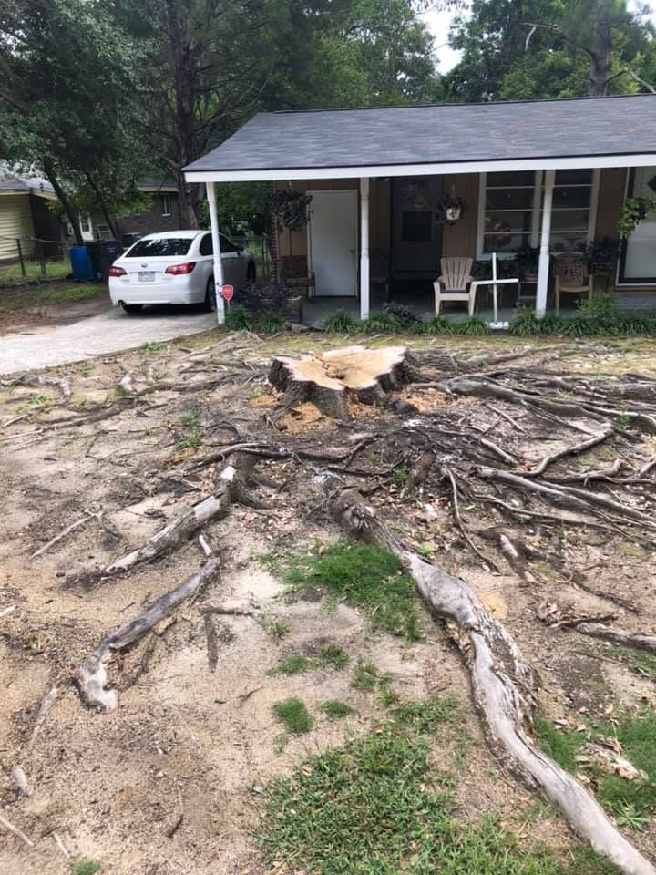Tree stump and exposed roots in front of a house, car in the driveway.