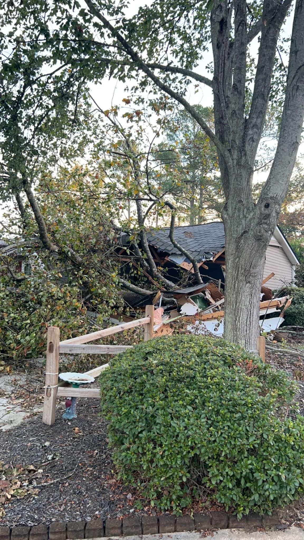 Collapsed building behind a small wooden fence, obscured by trees and shrubbery.