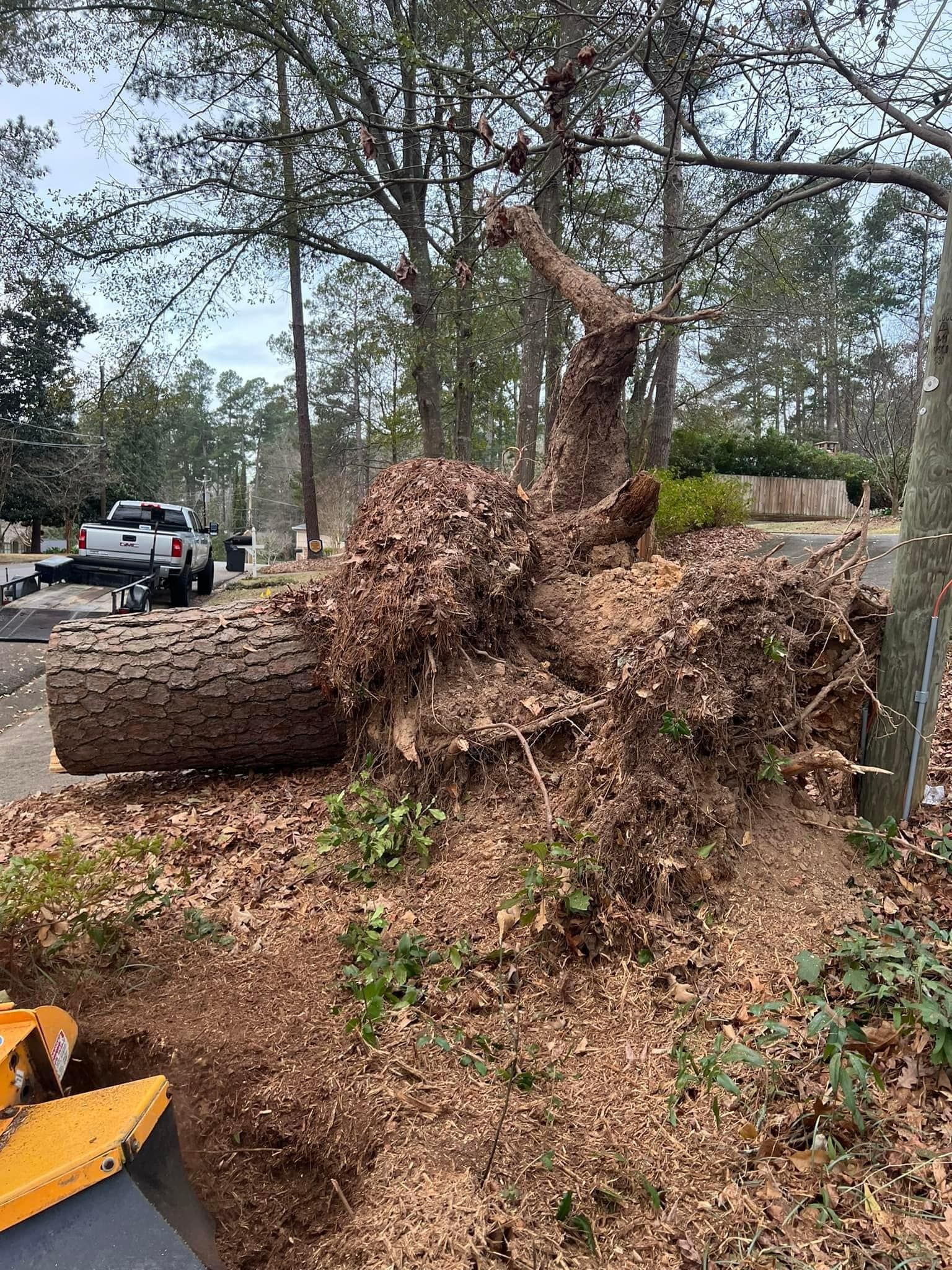 A pile of leaves being scooped up by a machine, a truck and trailer sit in the background.